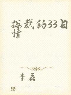 总裁的33日索情