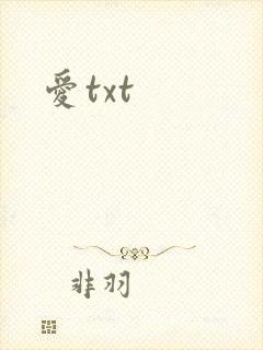 爱txt