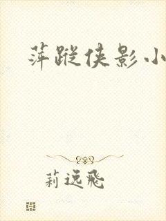 萍踪侠影小说