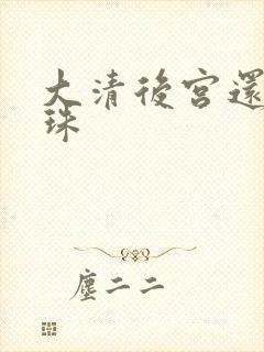 大清后宫还君明珠