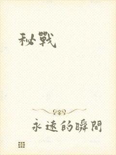 秘战封面