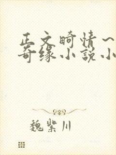 正文畸情～内裤奇缘小说小茹