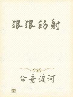 狠狠的射