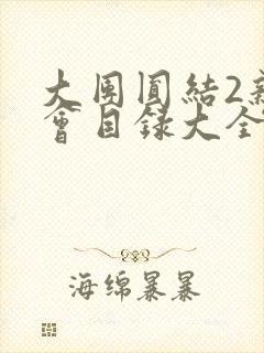 大团圆结2亲情会目录大全免费阅读封面