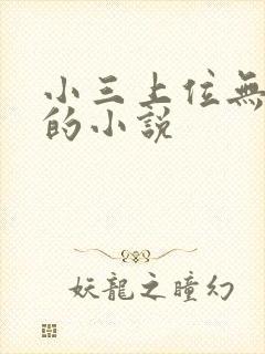 小三上位无三观的小说