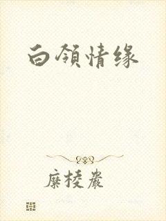 白领情缘
