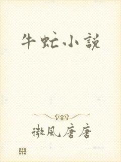 牛虻小说