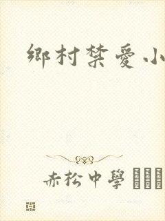 乡村禁爱小说封面
