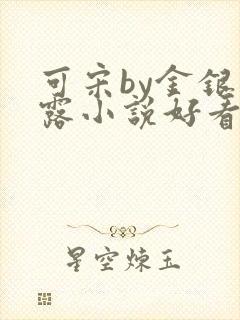 可宋by金银花露小说好看吗封面