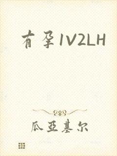 有孕1V2LH