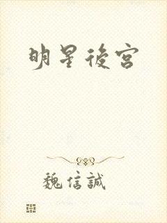 明星后宫