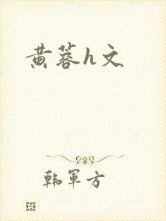 黄蓉h文封面