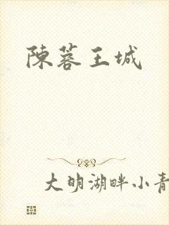 陈蓉王城封面