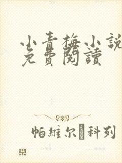 小青梅小说全文免费阅读
