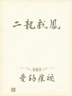 二龙戏凤