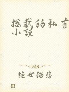 总裁的私有宝贝小说