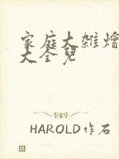家庭大杂烩小说大全儿