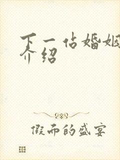 下一站婚姻剧情介绍
