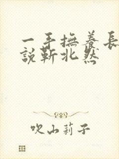 一手抚养长大小说靳北然