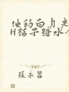 他的白月光HVH桔子糖水全文封面