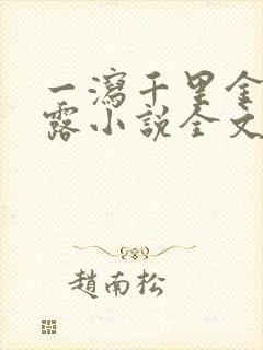 一泻千里金银花露小说全文免费阅读封面