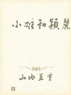 小雄和颖丽封面