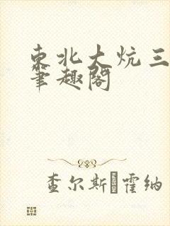 东北大炕三部曲笔趣阁