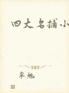 四大名捕小说