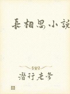 长相思小说原著