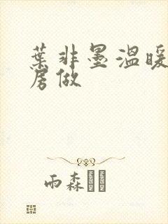 叶非墨温暖在厨房做
