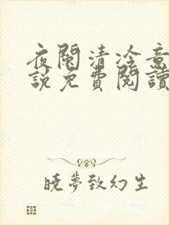 夜阑清冷意欢小说免费阅读