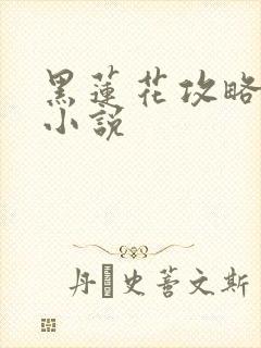 黑莲花攻略手册小说