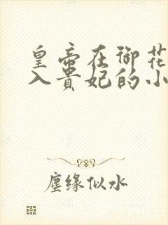 皇帝在御花园进入贵妃的小说