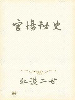 官场秘史