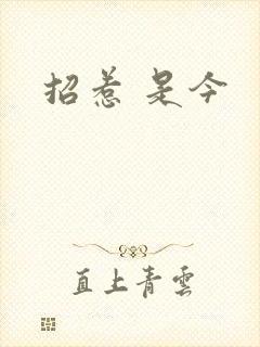 招惹 是今