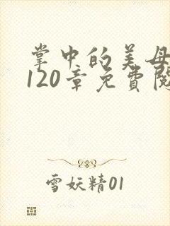 掌中的美母版主120章免费阅读封面