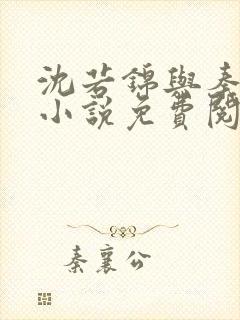 沈若锦与秦琅的小说免费阅读