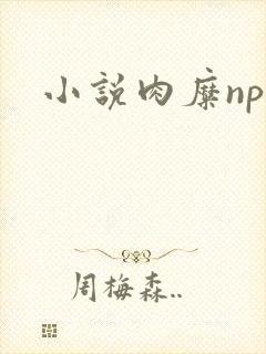 小说肉糜np封面