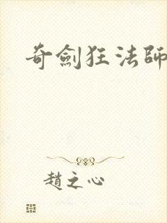 奇剑狂法师封面
