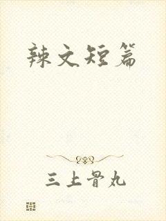 辣文短篇