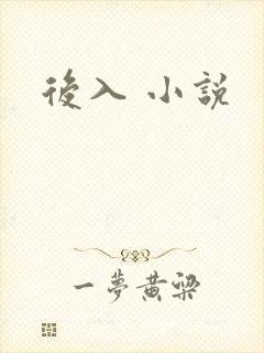 后入 小说