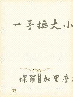 一手抚大小说