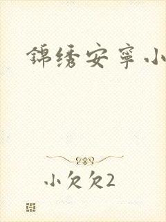 锦绣安宁小说封面