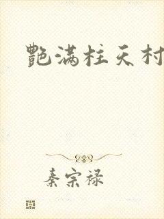 艳满柱天村封面