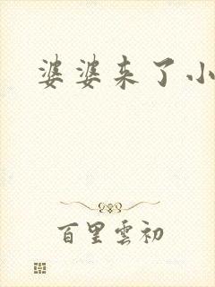 婆婆来了小说