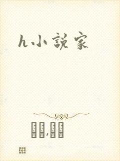 h小说家