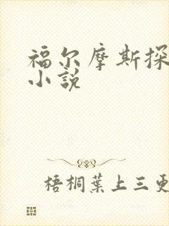 福尔摩斯探案集小说封面