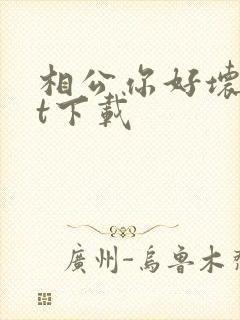 相公你好坏txt下载