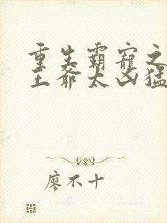 重生霸宠之摄政王爷太凶猛封面