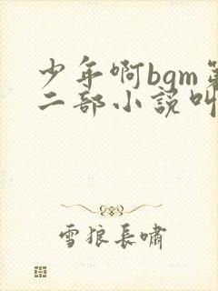 少年啊bgm第二部小说叫什么